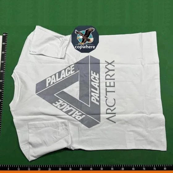 Palace x Arc'teryx White T-Shirt Collaboration